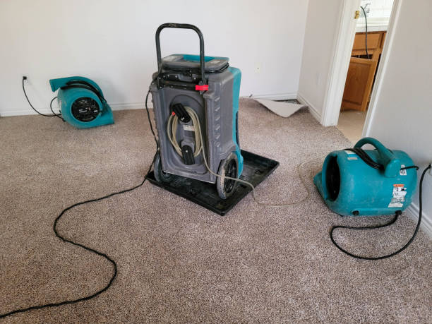 Best Flooded house restoration  in Slater, MO