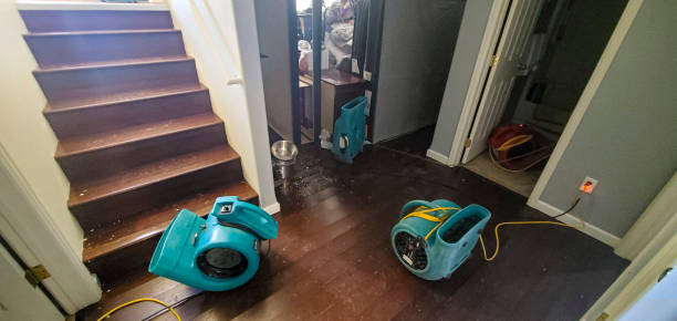 Best Basement water damage restoration  in Slater, MO