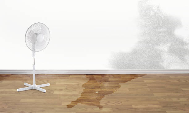 Best Water damage restoration near me  in Slater, MO