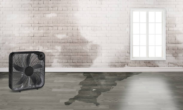 Best Emergency water damage restoration  in Slater, MO