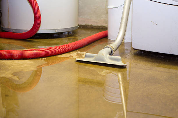 Best Water damage restoration near me  in Slater, MO
