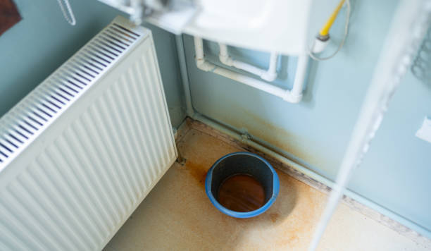 Best Carpet water damage restoration  in Slater, MO