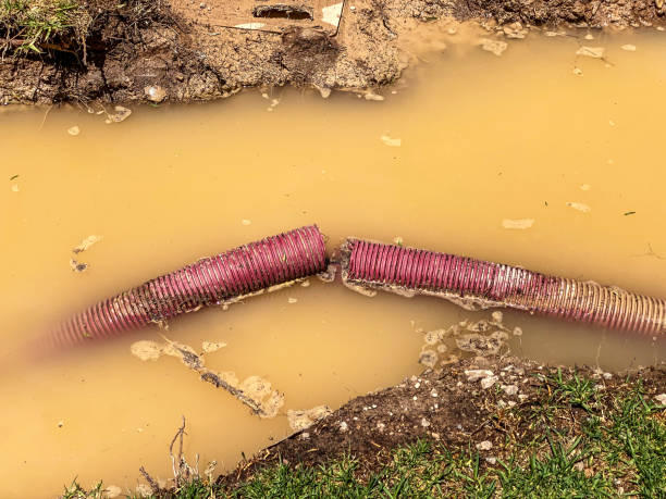 Best Water damage contractors near me  in Slater, MO
